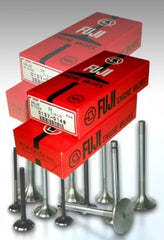 Valves Fuji Japan